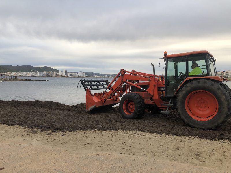 El Ayuntamiento De Sant Josep De Sa Talaia Devuelve A Las Playas La